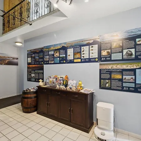 Fewo-seestern Friedrichskoog