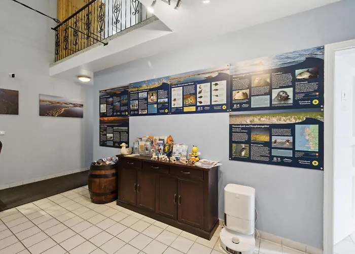 Fewo-seestern Friedrichskoog